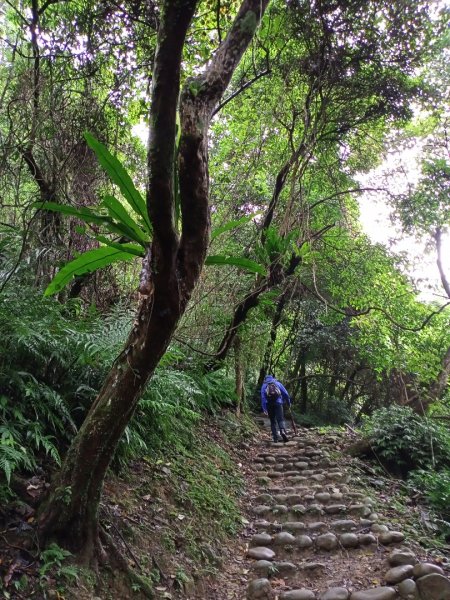 【山林美境尋寶石】內洞賞景步道、內洞林道1124087