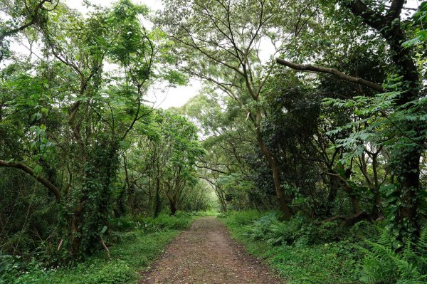 臺北 北投 嘎嘮別山、稻香山、貴子坑山2760547