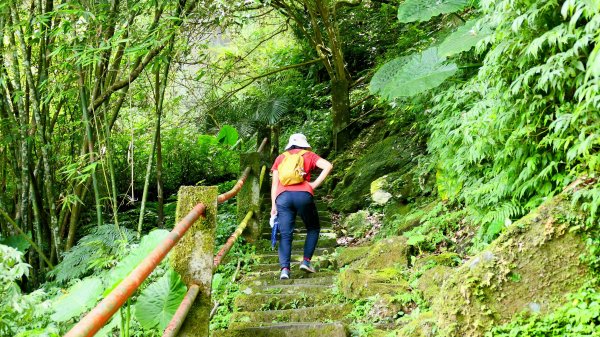 微笑山線銀河洞越嶺段2852820