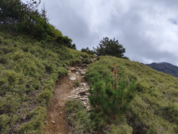 北一段(13/14)審馬陣山 2025_0906~132887539