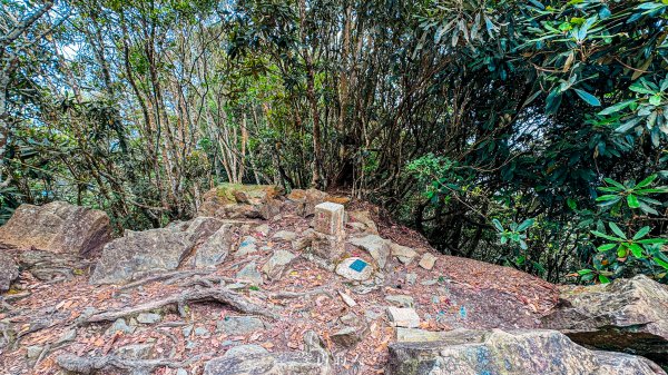 谷關七雄-屋東縱走2923548