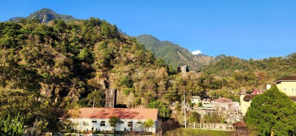 【中級山】谷關七雄波津加山2742319