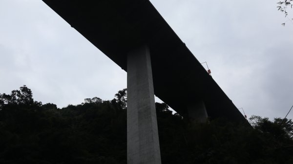 獵貍尖步道連走烏塗溪步道登山健行趣(淡蘭南路TK3-6&TK3-5&TK3-4)2404550