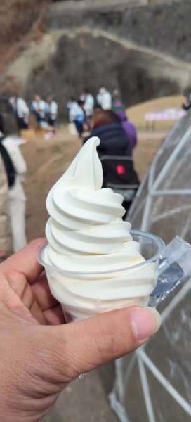 九州小京都（大分杵築城）2999754