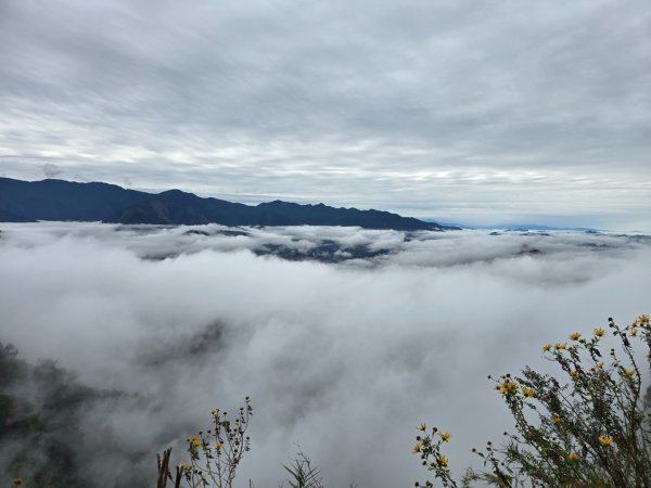 馬那邦山之雲海／雲瀑／楓紅／太陽琉璃光2676362