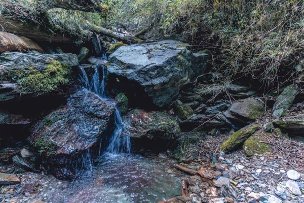 嘉明湖 (三叉山-向陽山)299385