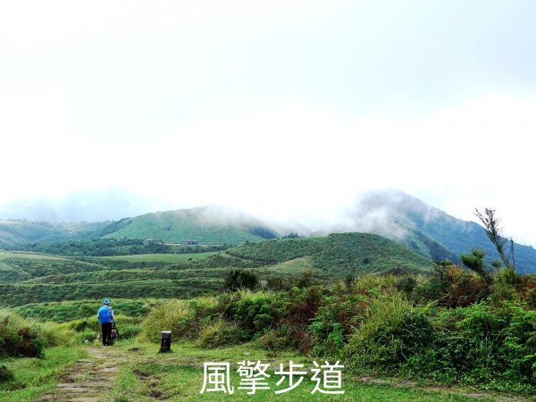 磺嘴山火山口O行、翠翠谷1862652