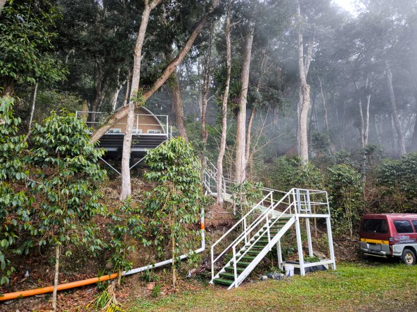 2026-02-08 藤枝山2998436