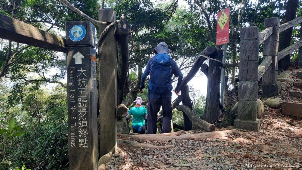 《台中》虎頭蜂巢｜大坑5號登頭嵙山黑松亭（聖普宮）202508092855086