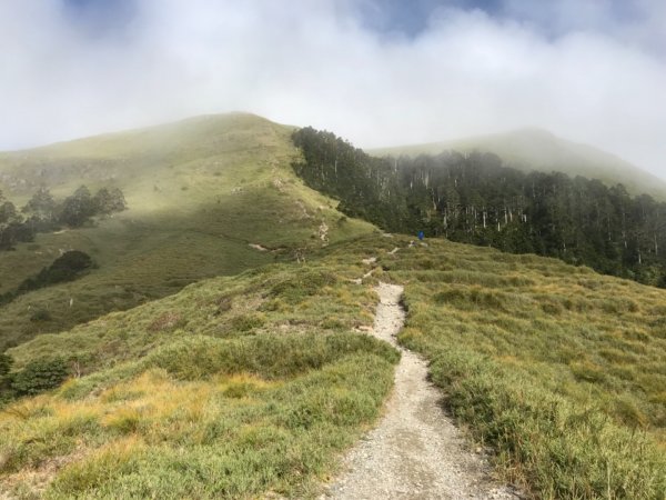 奇萊南華光被八表單攻692101