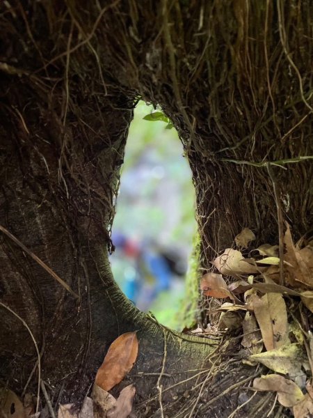 紅河谷越嶺-加九寮秘境💙露營⛺️釣魚趣2817728