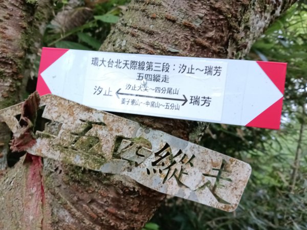 汐止區磐石嶺福興宮+581峰+雙十塔+耳空龜山+四分尾山+大尖山2805710