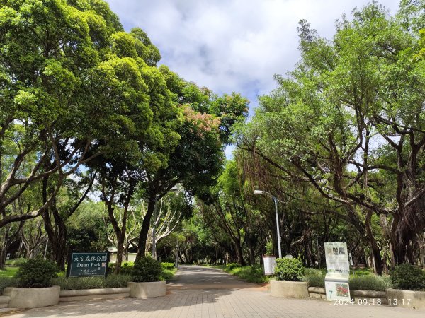 大安森林公園、大稻埕、大港墘公園【走路趣尋寶】【臺北健走趣】2598306