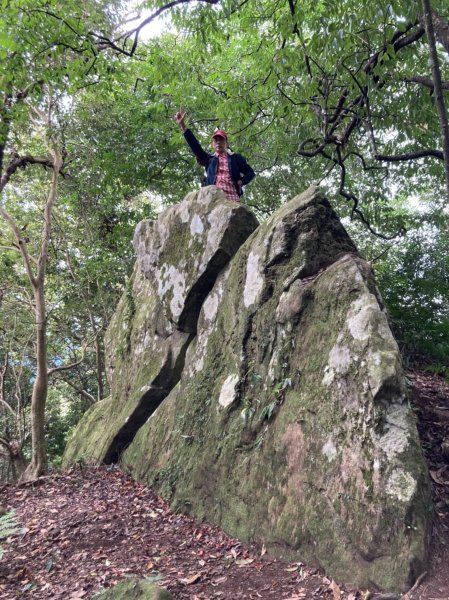 迷霧森林的羅山林道北線、油羅山 H1764m (巧遇野孩子小樂)1531377