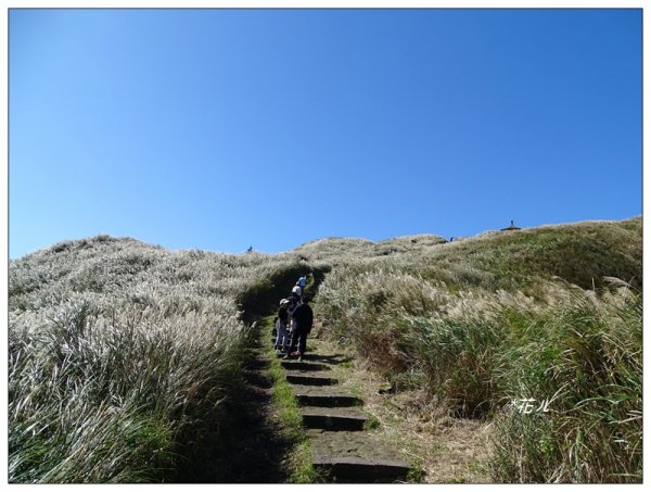 七星山連峰/芒花738700