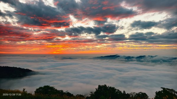 #馬那邦山 #夕陽 #雲海 #火燒雲 12/282971584