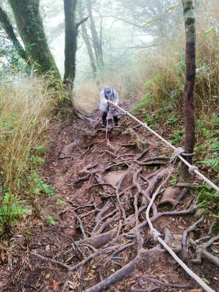 苗栗南庄～陡上陡下無冷場台灣富士山加里山1086970