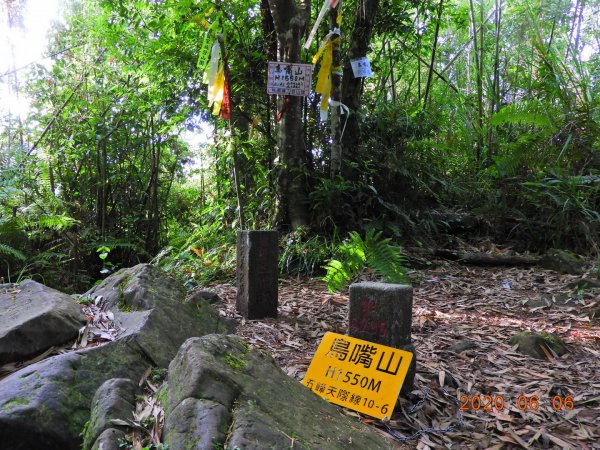 新竹 五峰 鳥嘴山、鵝公髻山986652