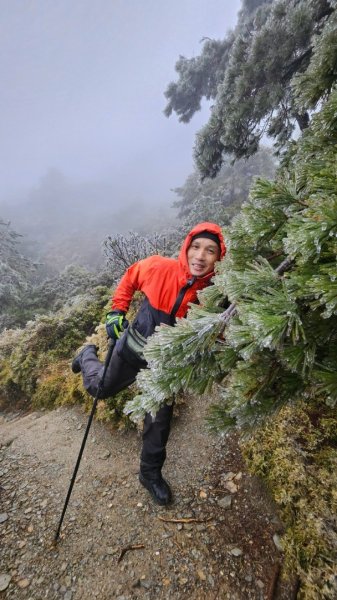 20250319～20嘉明湖國家步道🥶🥶🥶殘念😭2739743
