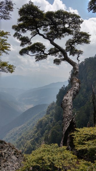 百岳~武陵四秀(池有、桃山、品田、喀拉業1034784