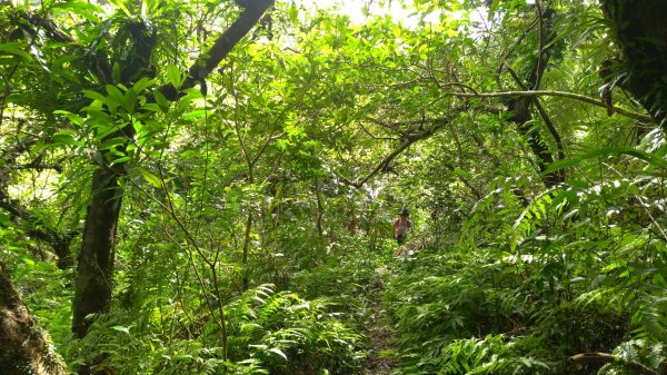 小百岳行~礁溪鵲子山（鵠仔山、鴻子山）跑770842