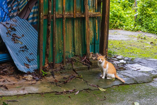 [屏東]笠頂山2847886