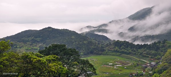 陽明山追雲趣 #天空之城 #石門嵩山梯田 #鳶尾花 #老梅綠石槽 4/5-63030189