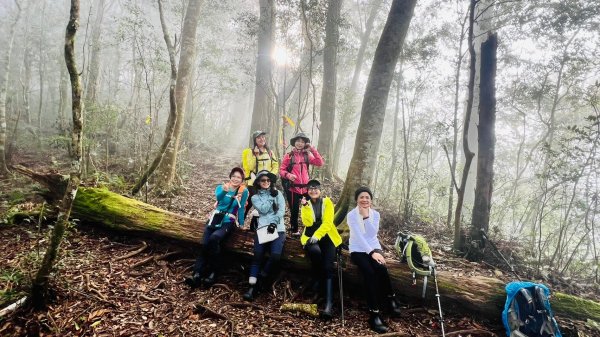 🌈12/18（三）魔法森林-塔曼山~網美打卡-巴陵鐵塔🌈2671870