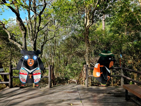 波津加山-谷關七雄(老四)3015163