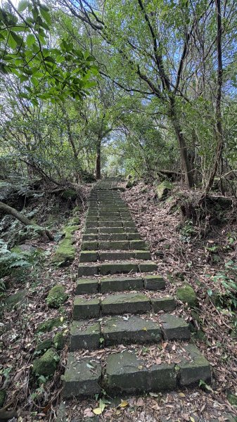 石階與挑夫的百年對話