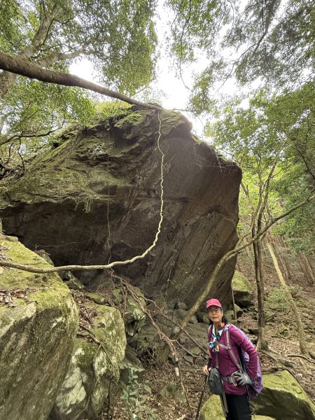 大坪祕境的奇岩2672541