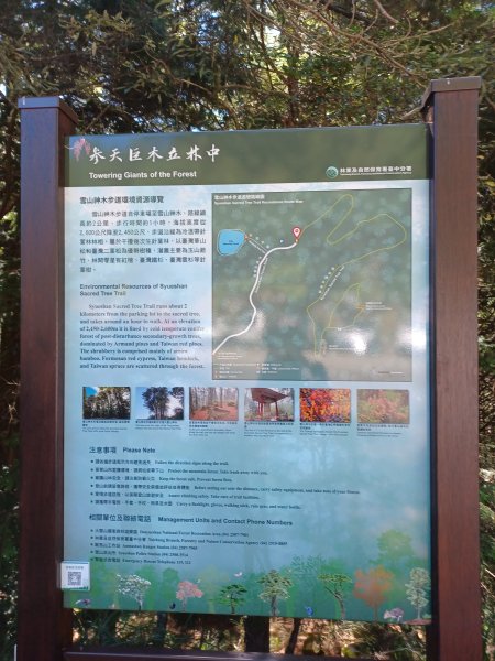 【台中和平】雪山神木步道x小雪山天池步道2933116