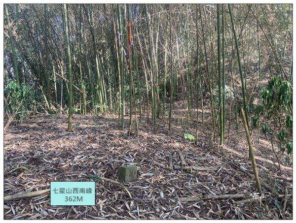 后里 七星山 新發現基石2990052