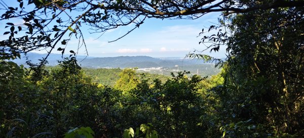 小粗坑山經南登山口上石門山Ｏ型-2026/07/183091172