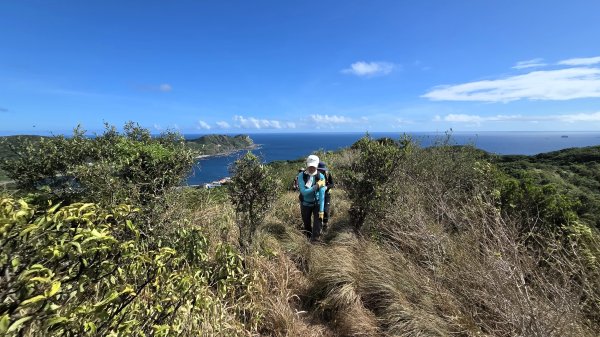夏季的黃金十稜接九稜下門牙稜C型(草長路荒慎行)2880681