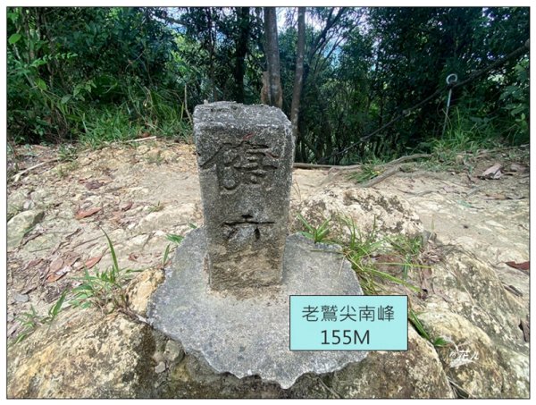 金龍湖、鷹石尖、老鷲尖、內溝山 O型一圈2966623