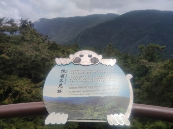 1150728茂興懷舊步道3097242