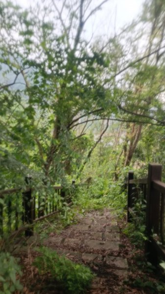 橋聳雲天綠雕園區1753778