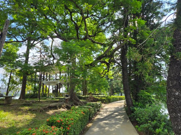 澄清湖環湖步道2873922