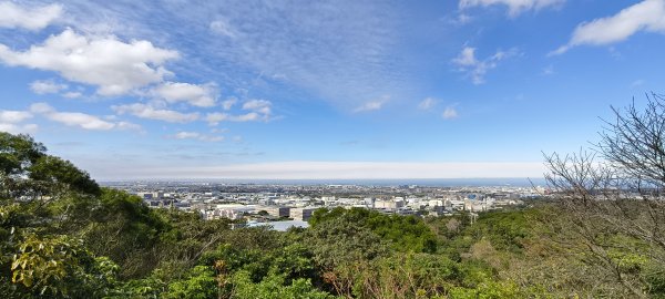 2026/01/25-五酒桶山、山鼻山步道2988088