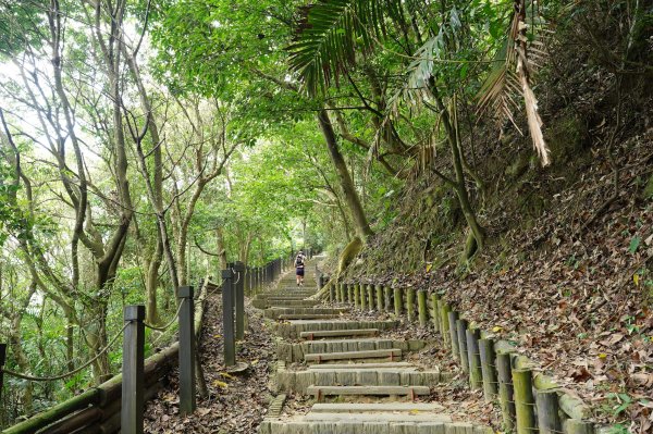 臺中 太平 三汀山、埤頭山2638046