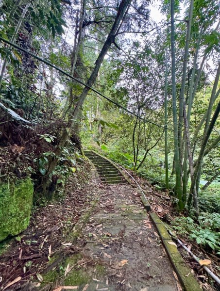 挑竹古道6號走小半天6連峰出孟宗竹林古戰場3108802
