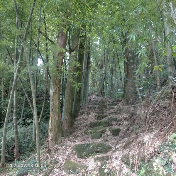 臺北大縱走第二段：二子坪至小油坑2840539