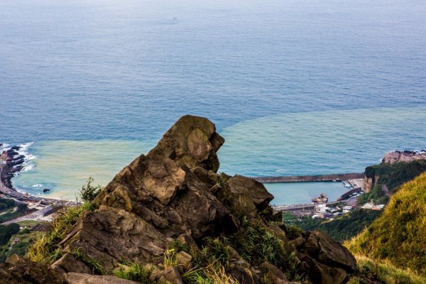 進入侏羅紀公園-劍龍稜819990