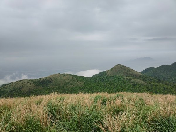 ［2023 走遍陽明山尋寶任務］［大屯山連峰］2198808