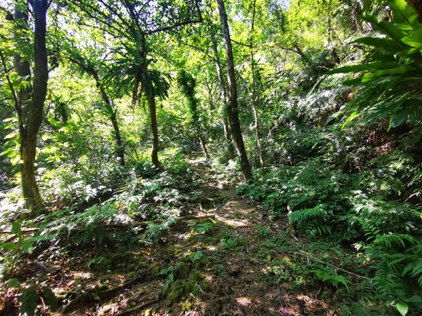 九華山福德宮-平溪子山-台和煤礦-北43鄉道-106縣道2907819