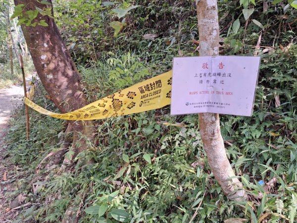 台南關子嶺枕頭山，大凍山，雞籠山步道3123324