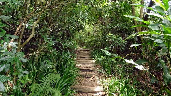 福州山,中埔山,黎和生態公園2234129