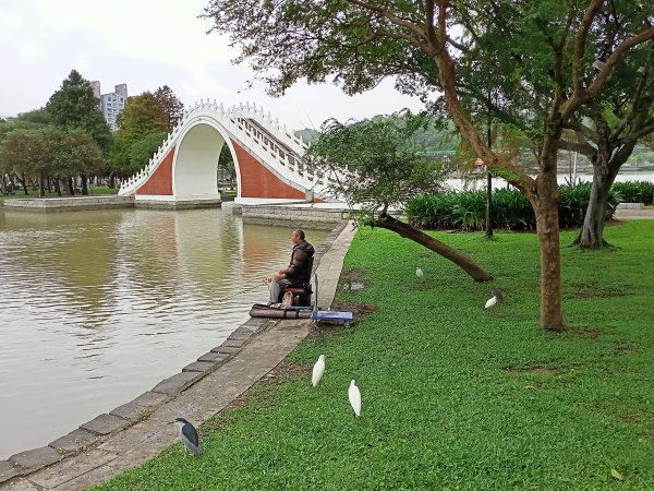 大溝溪生態治水園區、大湖公園 (防災公園) 【走路趣尋寶】1898040