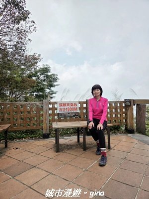 【南投鹿谷】溪頭天文台登山步道3037368